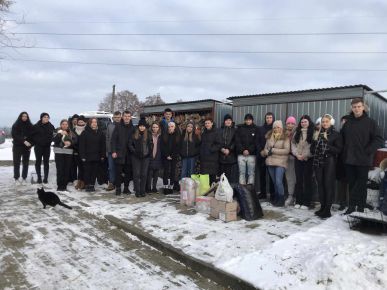 Wolontariusze w przytulisku dla zwierząt