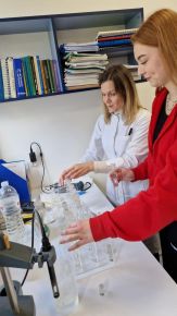 ZIELONA EDUKACJA W LABORATORIUM