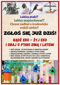 plakat ptaki 1