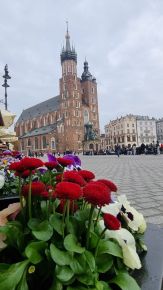 MAGICZNY KRAKÓW WIOSNĄ...